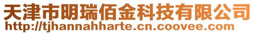 天津市明瑞佰金科技有限公司