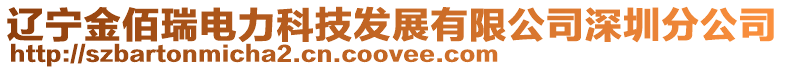 遼寧金佰瑞電力科技發展有限公司深圳分公司