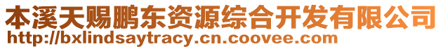 本溪天賜鵬東資源綜合開發(fā)有限公司