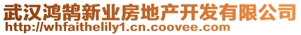 武漢鴻鵠新業(yè)房地產(chǎn)開發(fā)有限公司