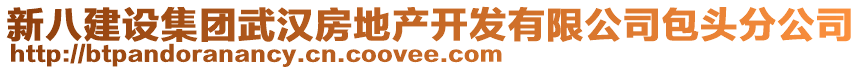 新八建設集團武漢房地產開發(fā)有限公司包頭分公司