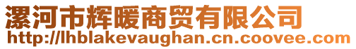 漯河市輝暖商貿有限公司