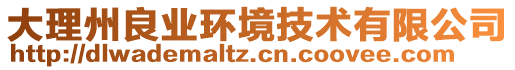 大理州良業(yè)環(huán)境技術(shù)有限公司