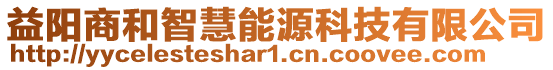 益陽商和智慧能源科技有限公司