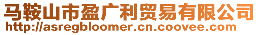馬鞍山市盈廣利貿易有限公司