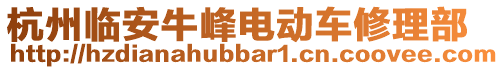 杭州臨安牛峰電動車修理部