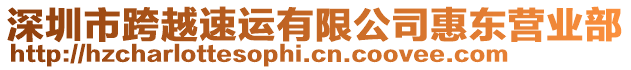 深圳市跨越速運有限公司惠東營業(yè)部