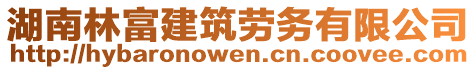 湖南林富建筑勞務有限公司