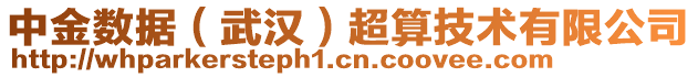 中金數(shù)據(jù)（武漢）超算技術有限公司