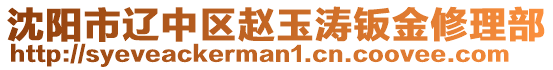 沈阳市辽中区赵玉涛钣金修理部