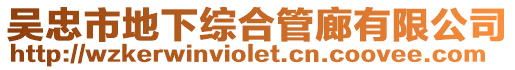 吳忠市地下綜合管廊有限公司