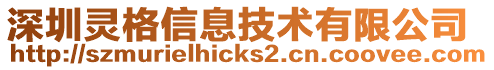 深圳靈格信息技術有限公司
