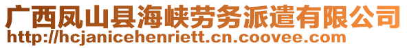 廣西鳳山縣海峽勞務派遣有限公司