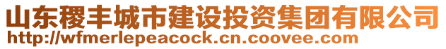 山東稷豐城市建設(shè)投資集團(tuán)有限公司