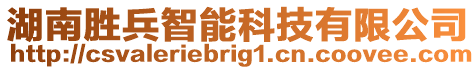 湖南勝兵智能科技有限公司