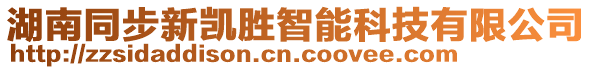 湖南同步新凱勝智能科技有限公司