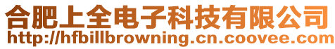 合肥上全電子科技有限公司