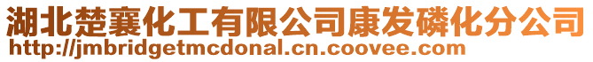 湖北楚襄化工有限公司康發磷化分公司