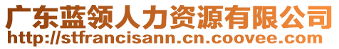 廣東藍(lán)領(lǐng)人力資源有限公司