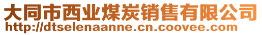 大同市西業(yè)煤炭銷售有限公司