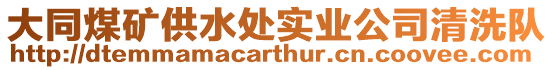 大同煤礦供水處實業公司清洗隊
