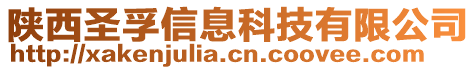 陜西圣孚信息科技有限公司