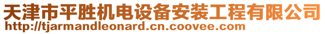 天津市平勝機(jī)電設(shè)備安裝工程有限公司