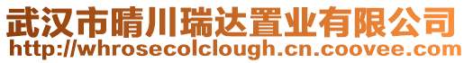 武漢市晴川瑞達置業有限公司