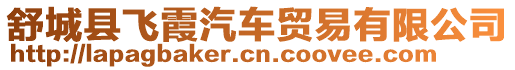 舒城縣飛霞汽車貿(mào)易有限公司