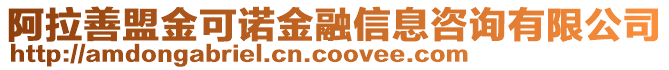 阿拉善盟金可諾金融信息咨詢有限公司