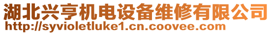 湖北興亨機電設備維修有限公司