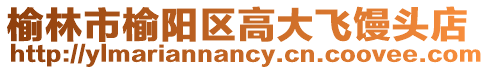 榆林市榆陽區高大飛饅頭店