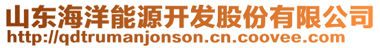 山東海洋能源開發股份有限公司