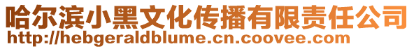 哈爾濱小黑文化傳播有限責任公司
