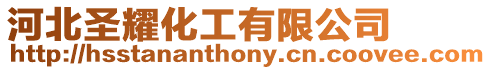 河北圣耀化工有限公司