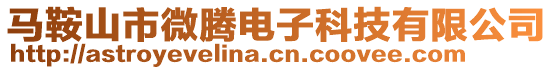 馬鞍山市微騰電子科技有限公司