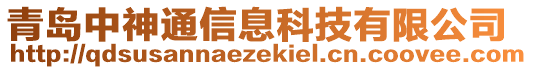 青島中神通信息科技有限公司