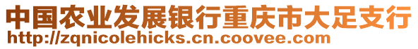 中國農(nóng)業(yè)發(fā)展銀行重慶市大足支行