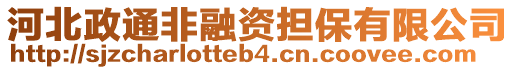 河北政通非融資擔保有限公司