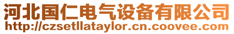 河北國仁電氣設備有限公司