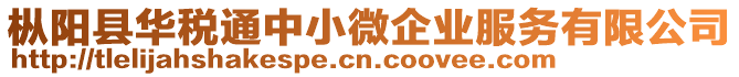 樅陽縣華稅通中小微企業服務有限公司