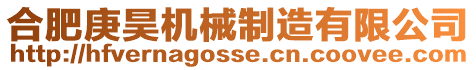 合肥庚昊機(jī)械制造有限公司