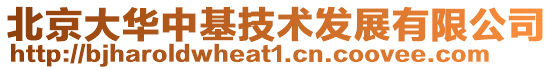 北京大華中基技術(shù)發(fā)展有限公司