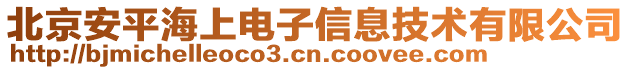 北京安平海上電子信息技術有限公司