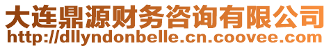 大連鼎源財(cái)務(wù)咨詢有限公司