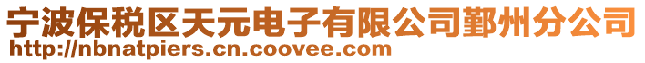 寧波保稅區(qū)天元電子有限公司鄞州分公司