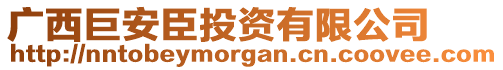 廣西巨安臣投資有限公司