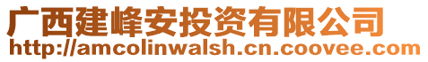 廣西建峰安投資有限公司