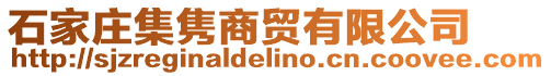 石家莊集雋商貿(mào)有限公司
