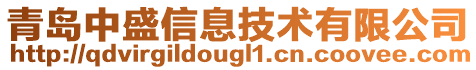 青島中盛信息技術(shù)有限公司